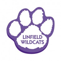 #1234 Foam Paw - 12.5"