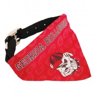 #1580 Pet Bandana