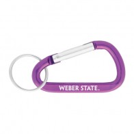 #2083 Carabiner Clip Keytag